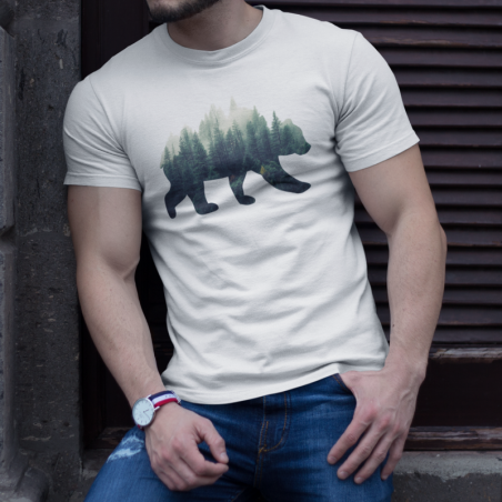 Niedźwiedź Forest