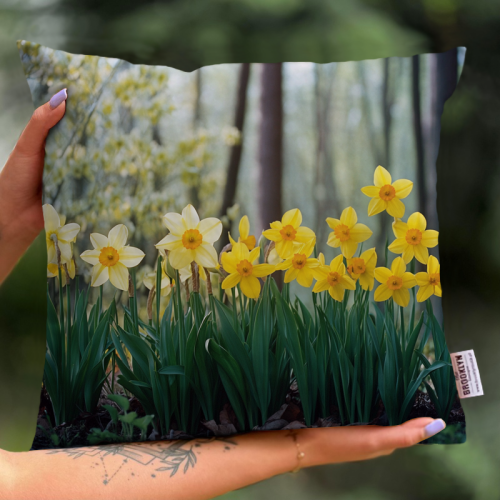 Poszewka | Żonkile 1