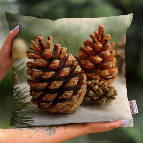 Poduszka | Szyszka 2