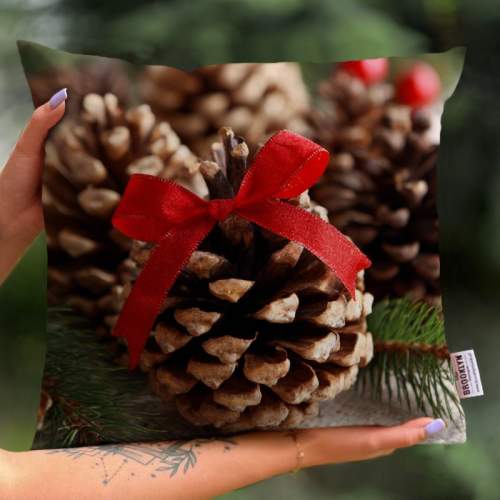 Poduszka | Szyszka 4