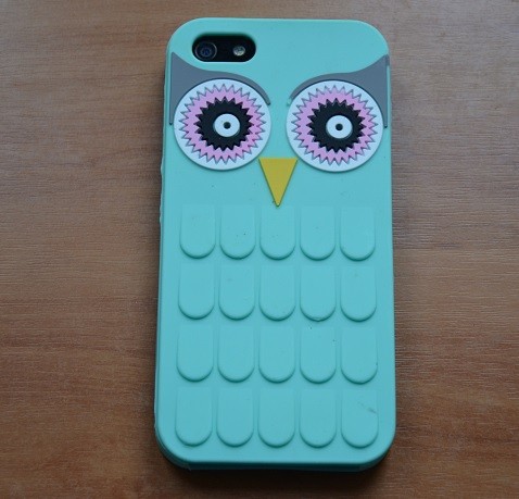 Etui iPhone 5G/5S OWL LIGHT blue