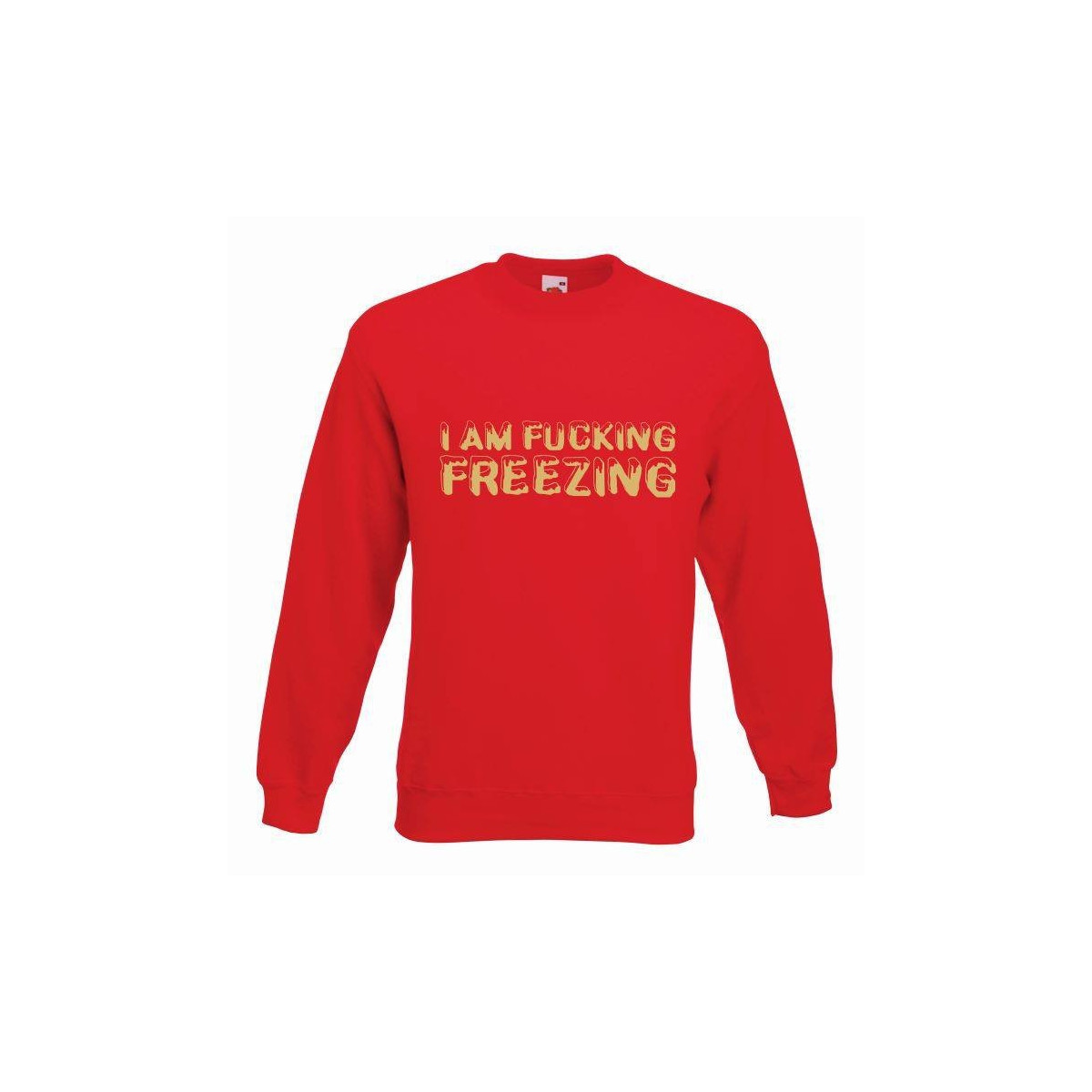 bluza i am fucking freezing