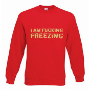 bluza i am fucking freezing