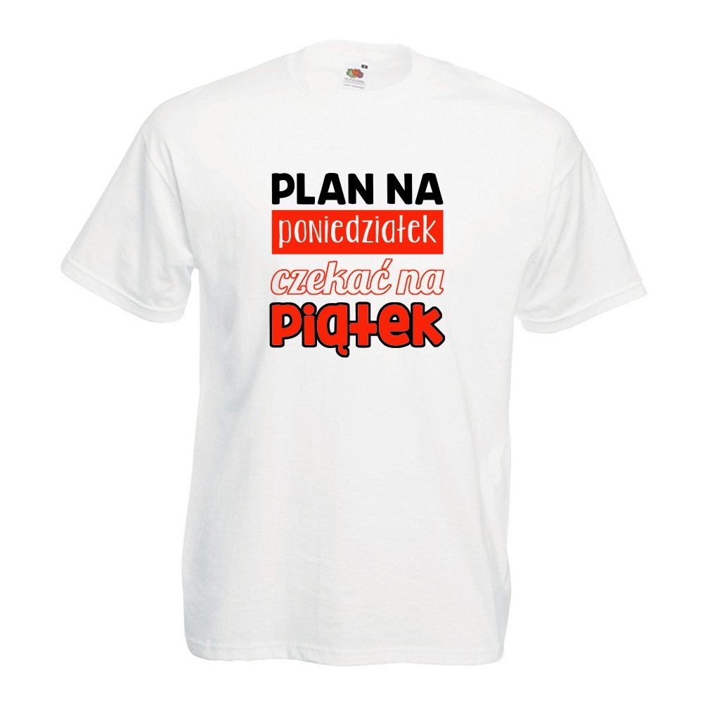 T-shirt lady/oversize DTG PLAN S oversize