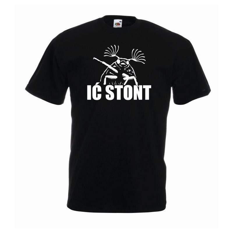 T-shirt oversize IĆ STONT