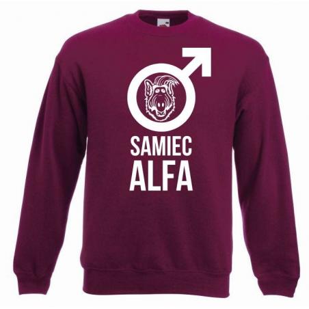 bluza oversize SAMIEC ALFA