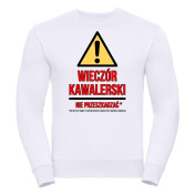 Bluza oversize DTG NIE PRZESZKADZAĆ*