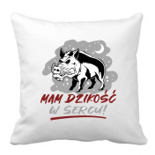 PODUSZKA druk usługi finansowe mama