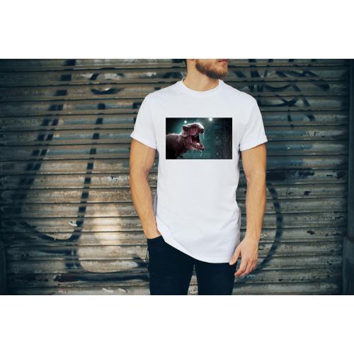 T-shirt oversize DTG Jurassic World