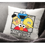 PODUSZKA druk Give me a Hug