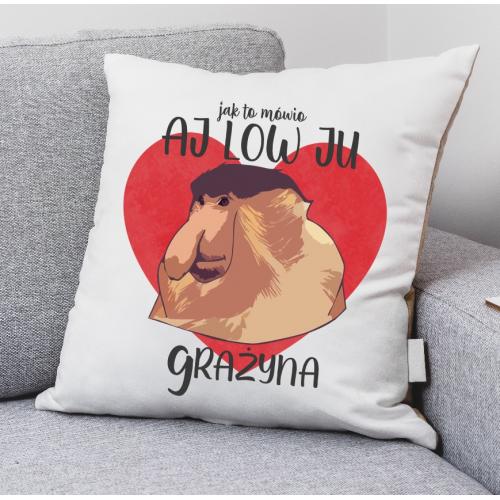 PODUSZKA druk Aj Low Ju