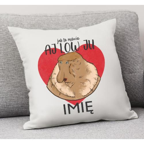 PODUSZKA druk Aj Low Ju -...