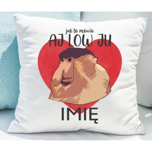 PODUSZKA druk Aj Low Ju 2-...